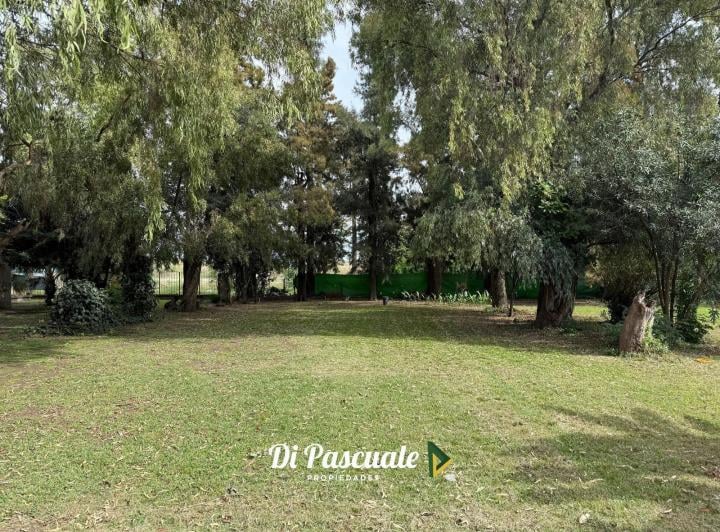 Terreno · 125m² · 5 Ambientes
