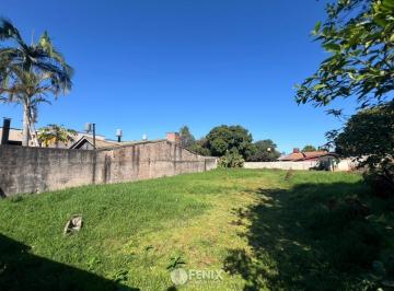 Terreno · 480m² · Tf899 - Terreno - C. Japón 3559 - 480 m²
