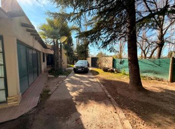 Casa en Alquiler de 3 ambientes · Casa en Vistalba