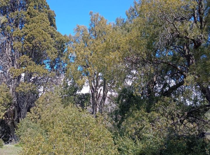 Terreno · 800m²