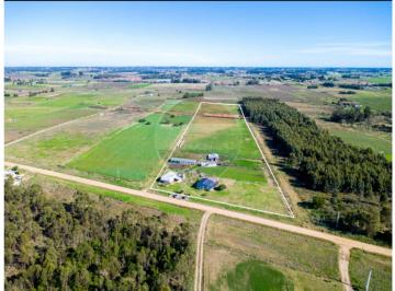 Campo · 176ha · Venta Campo 3.7 Há con Dos Casas Totoral del Sauce