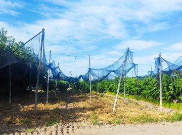 Terreno , Junín · Vendo Lote Junin Mendoza Ya