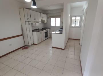 Departamento · 45m² · 2 Ambientes · Amplio Departamento de 1 Dormitorio Más Escritorio | a m del Patio Olmos