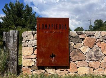 Terreno · 5834m² · Venta Lote 5.834 Mtrs con Escritura. San Clemente
