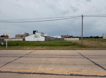 Terreno · 370m² · Venta Terreno en Barrio Este Sobre Av Argentina