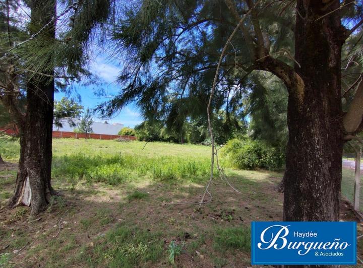 Terreno · 3422m²