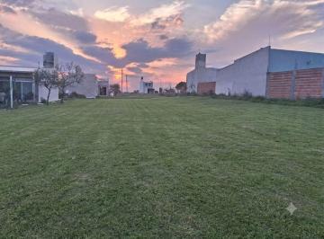 Terreno · 292m² · Terreno de 290 m² en Ubicación Premium de Oro Verde
