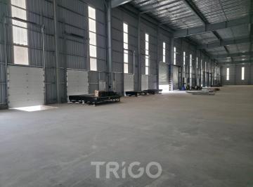 Bodega-Galpón · 12000m² · 1 Ambiente · Nave Logística en Alquiler 12.000 m² Cubiertos con Docks y Rociadores - Predio Cerrado con Seguridad