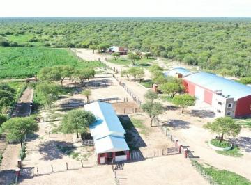 Campo · 1500m² · 4 Ambientes · Campo 123 Ha Feedlot Villa de Soto