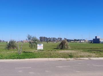 Terreno · 300m² · Terreno en Venta en Pueblo Esther