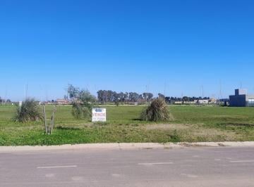 Terreno · 300m² · Terreno en Venta en Pueblo Esther