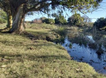 Foto1 · Campo en Las Garzas Frente Ruta y Cerca del Mar.