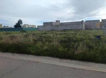 Terreno · 602m² · Terreno B° La Merced