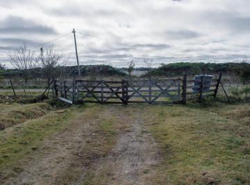 Campo · 7ha · Excelente Campo en Venta en San Vicente