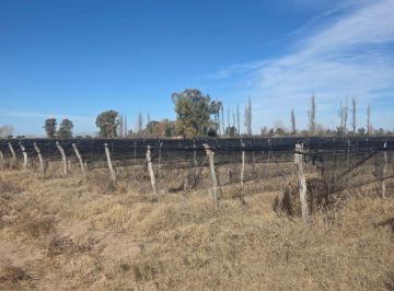 Campo , San Martín · Se Vende Finca en Tres Porteñas