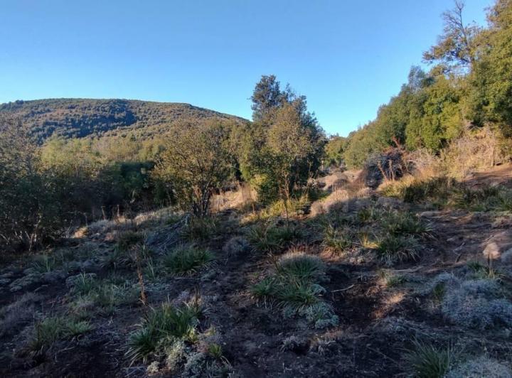 Terreno · 2320m²