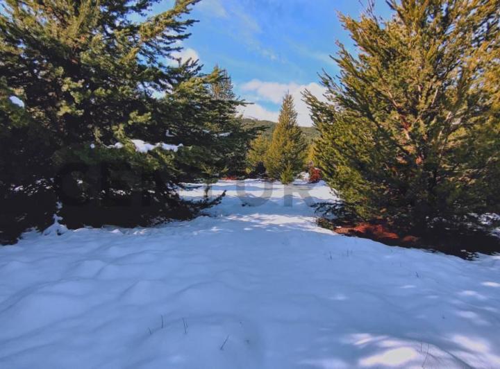 Terreno · 1250m²