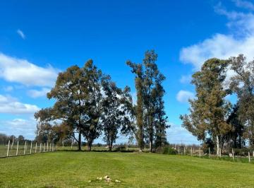 Terreno , Exaltación de la Cruz · Venta Importante Lote en Parke Sakura 3!