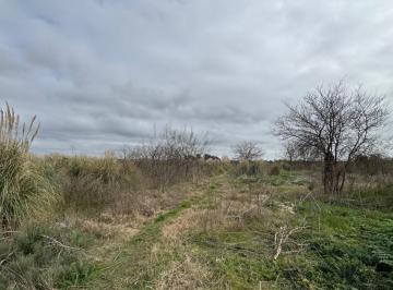 Terreno · 310000m² · 31 Ha Arturo Segui