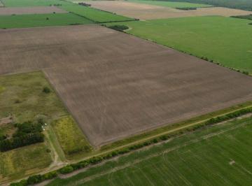 Campo · 50ha · Campo Agrícola en Victor Manuel Segundo