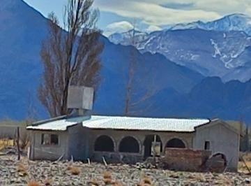 Campo · 100ha · Venta Campo con Casa San Alberto Uspallata