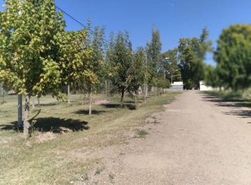 Terreno · 750m² · Lote Venta Chacras de Coria Lujan Callejón Privado