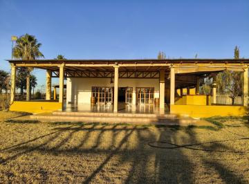 Quinta vacacional · 250m² · 3 Ambientes · Venta Salon Multiespacio con Departamentos en Fray Luis Beltran Maipu Mendoza