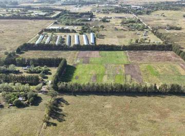 Fondo de comercio · 250m² · Venta - Fondo de Comercio - Grama Bahiana - Completo
