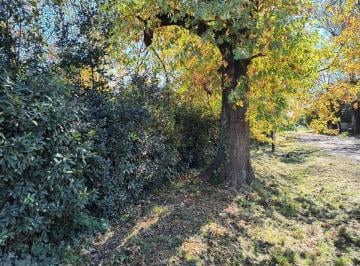 Terreno · 300m² · Venta Terreno 10 X 30 Moreno Cerca Ruta 7