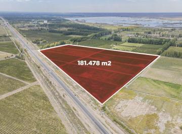 Terreno · 181478m² · En Venta Chacra Frente de Ruta 7 S. P del Chañar