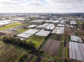 Campo · 5ha · Ha en Abasto en Venta - La Plata