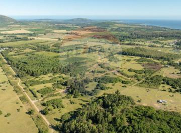 Campo · 3ha · Chacra en Venta Las Flores - Lanzamiento
