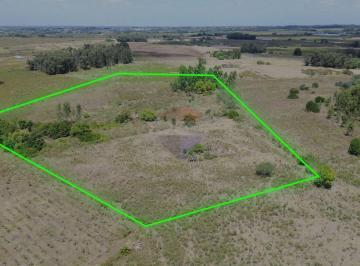 Campo · 3608ha · Venta Campo 3 Ha en Canelon Chico