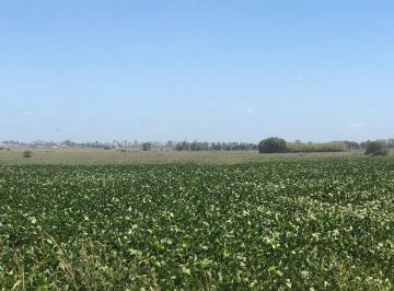 Campo · 54ha · Campo en Venta en Pergamino