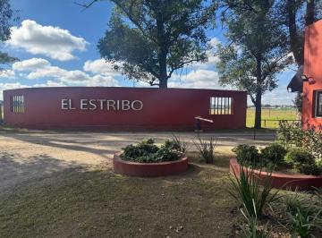 Terreno · 1340m² · Venta Lote 237 Tres Pinos Barrio El Estribo