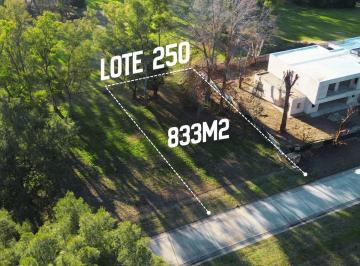 Terreno · 833m² · Lote 833 m² en Venta Saint Thomas Centro - Permuta