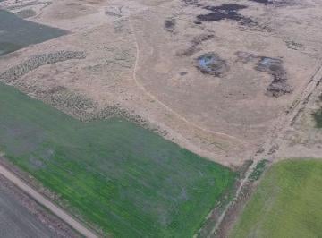 Campo · 131ha · Campo Mixto 131 Ha San Eduardo