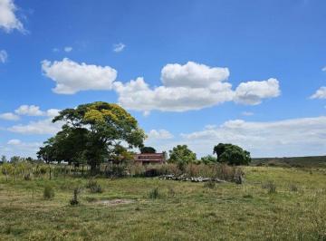 Campo · 949ha · Campo en Venta - 948 Ha 6430 m²