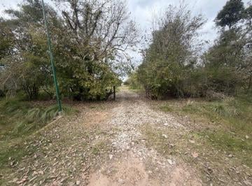 Terreno · 22500m² · Fracción en Alquiler en Villa Elisa de 22.250 m²