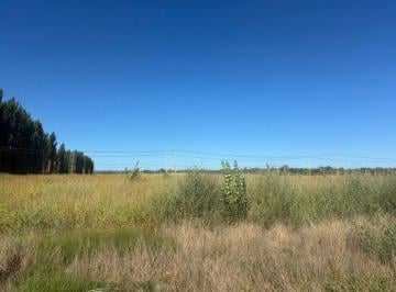 Terreno · 250m² · Terreno en Venta