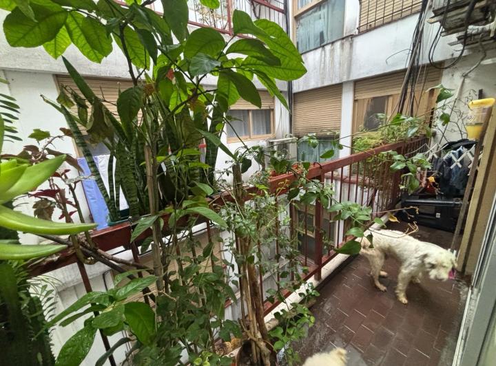Departamento · 40m² · 3 Ambientes