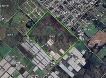 Terreno · 310000m² · Venta de 31 Ha en Arturo Seguí, La Plata