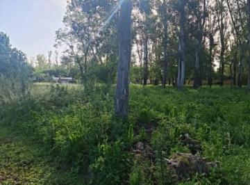 Terreno · 2332m² · Venta de Lotes en Andino