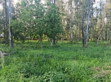 Terreno · 583m² · Terreno en Venta en Andino – 583,15 m²