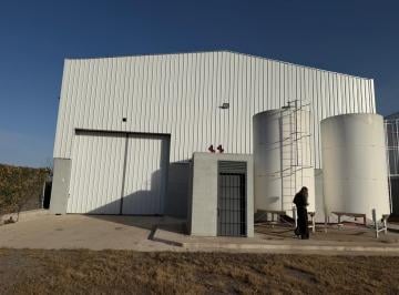 Bodega-Galpón · 1000m² · 1 Ambiente · Galpon Indsutrial en Alquiler en Spilibergo Al 7200