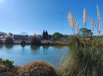 Bodega-Galpón · 1213m² · Greenwood Inversiones Inmobiliarias | Venta