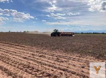 Campo · 7190000m² · 2 Ambientes · Campo en Venta - 719 Hectáreas - Salta
