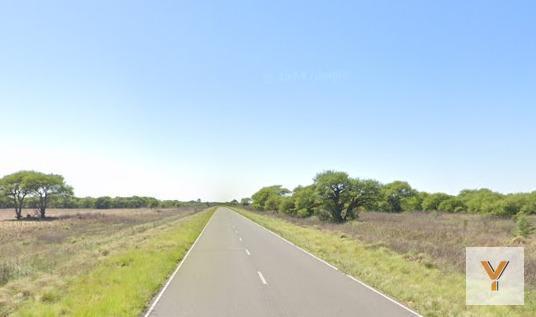 Campo · 1300ha