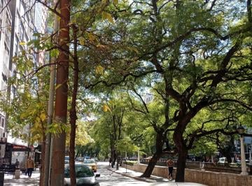 Departamento de 4 ambientes, Córdoba · Semipiso Sobre Cañada | 3 Dorm. | 2 Baños