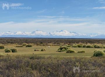 Campo · Campo de 49084 Ha en San Rafael y Malargüe